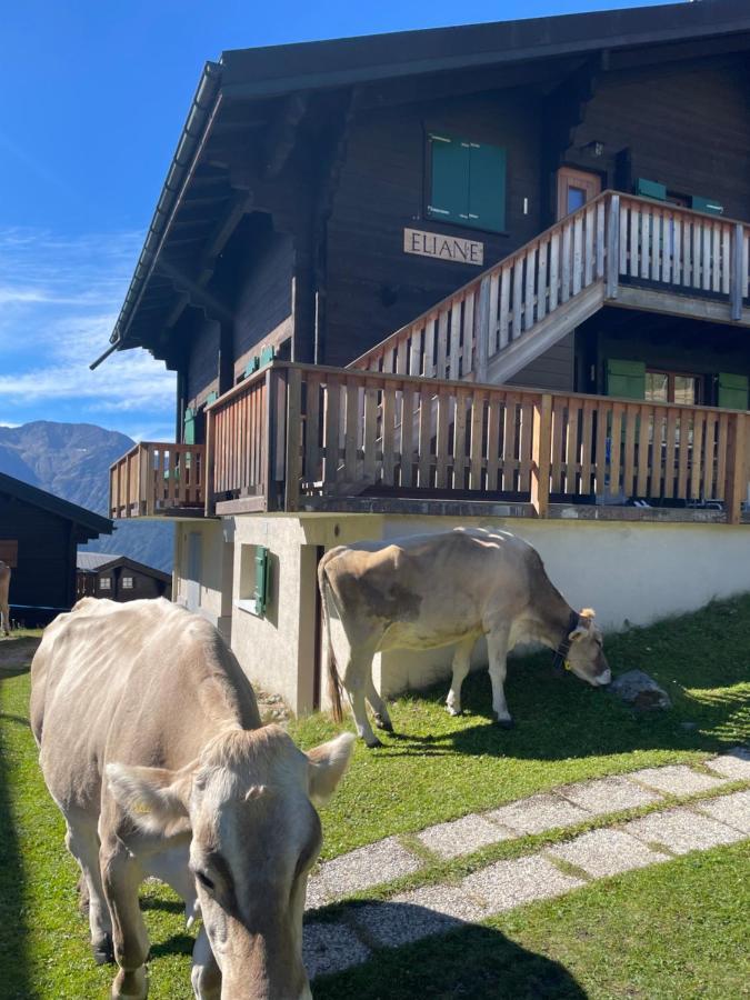 Apartamento Eliane Bettmeralp Exterior foto